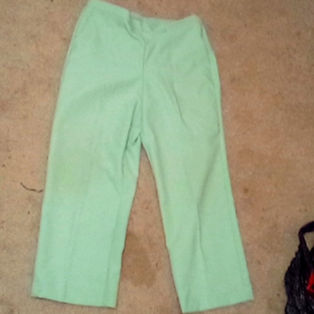 Size 14P Alfred dunner. Pull on dress pants